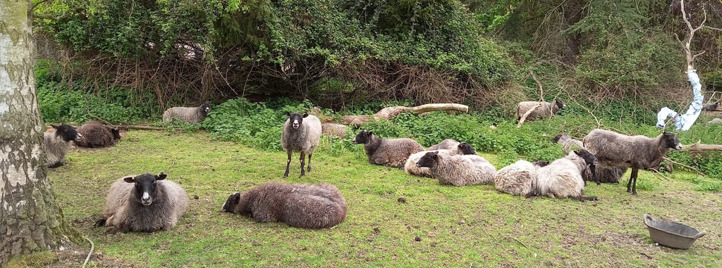 shades-of-grey-felsted-fleece