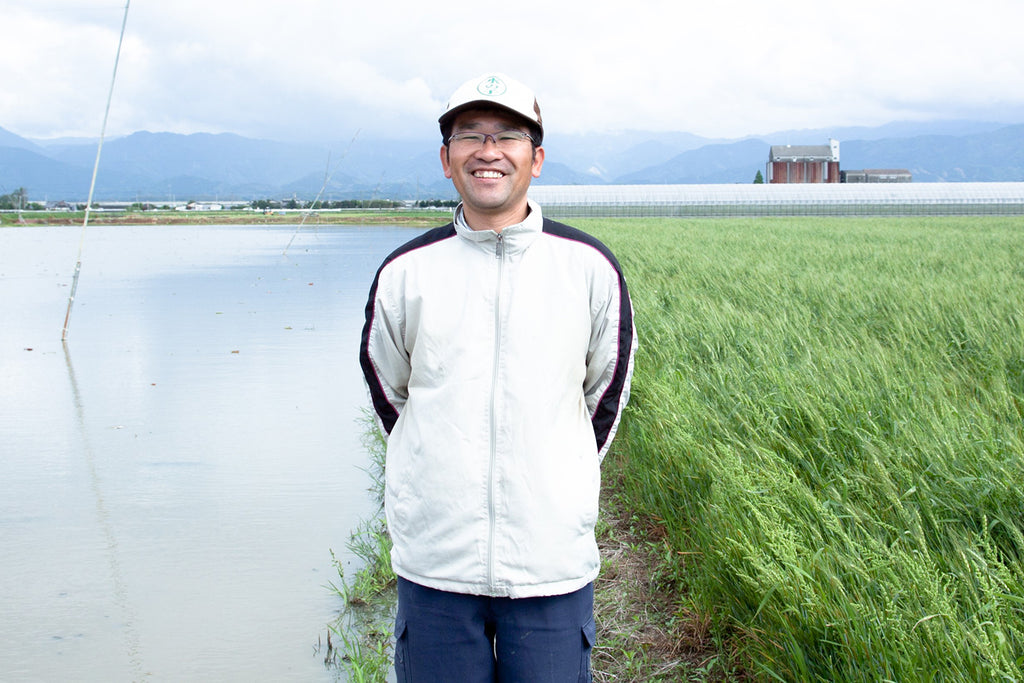 八代で代々在来種のはすを守る上村さん