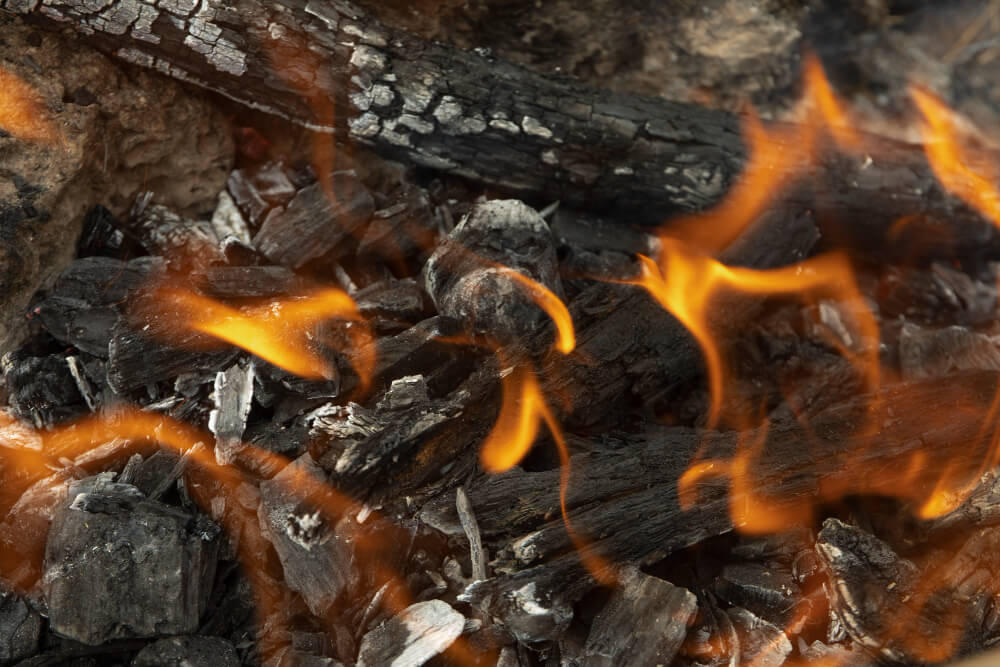 Is It Cheaper To Burn Wood or Pellets