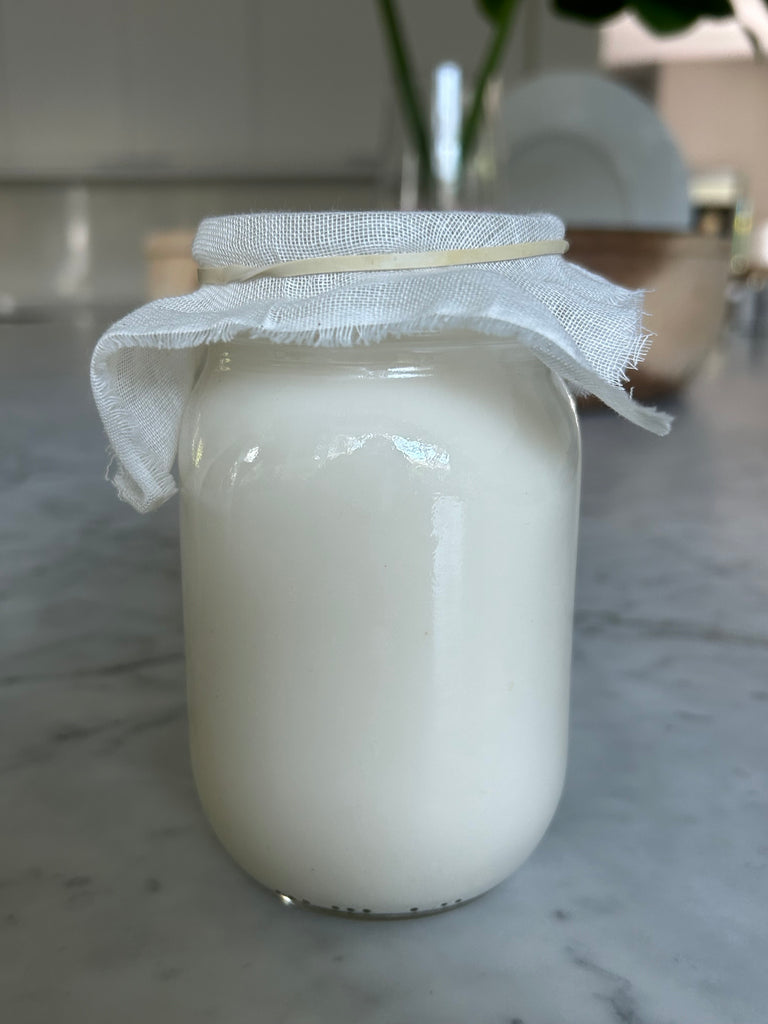 ball jar filled with milk and kefir topped with cheesecloth