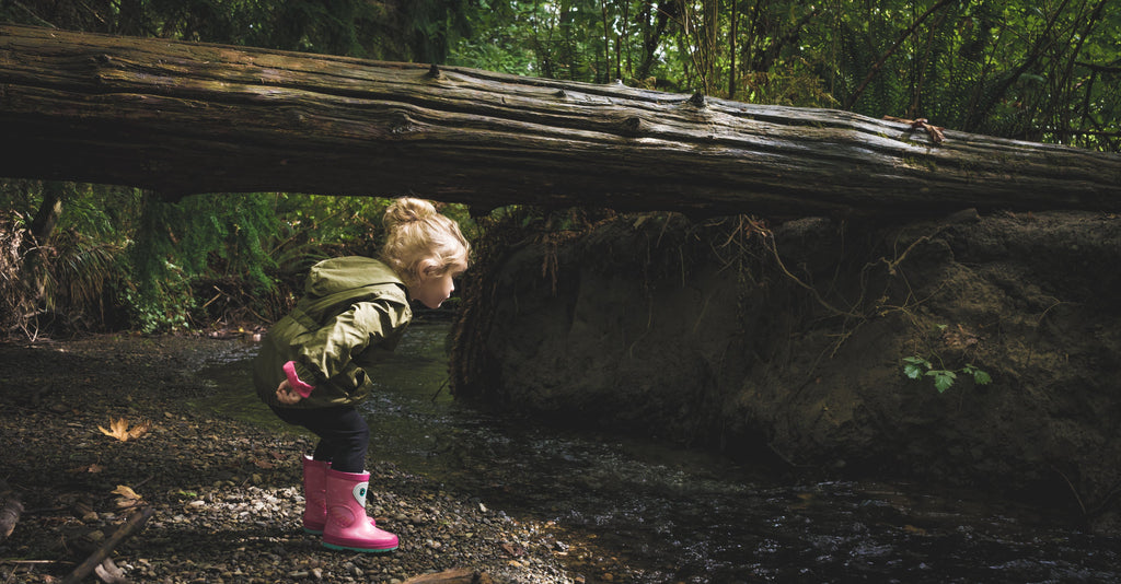 a child walking in the woods