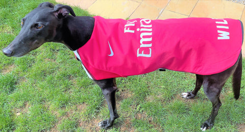 Arsenal dog coat, Arsenal dog, Arsenal dog shirt, Arsenal shirt on dog