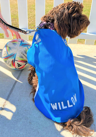 Australian soccer dog, australian soccer coat, australian football dog, australian soccer dog shirt