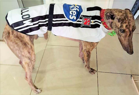 Dundalk dog fan, dundalk dog coat, dundalk dog shirt, dog football shirt, dog strip, dog soccer shirt, dog football jersey