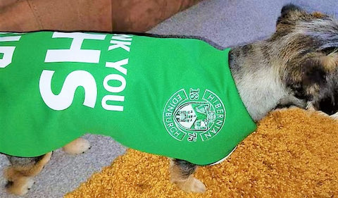 Hibs dog coat, Hibs dog shirt, Hibs football shirt for dogs, Hibs dog jersey, dog football shirt, dog soccer kit