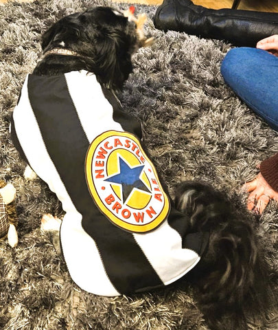 Newcastle Brown Ale dog coat