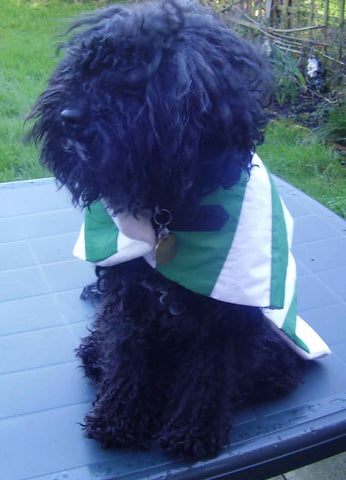 Celtic FC dog coat