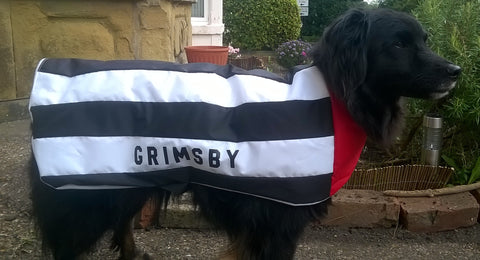 Grimsby Town dog coat