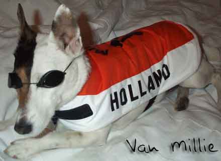 Holland FC dog shirt