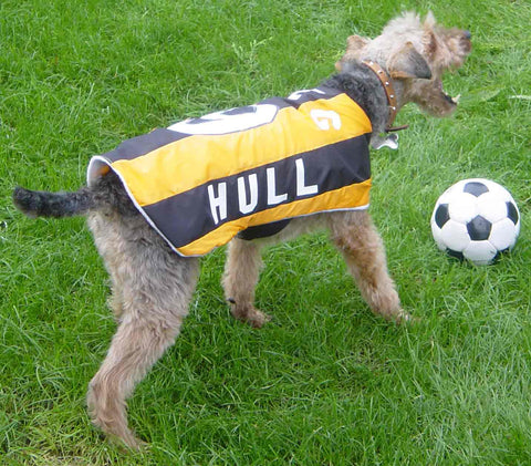 Hull City dog coat