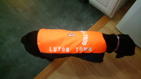 Luton Town dog coat