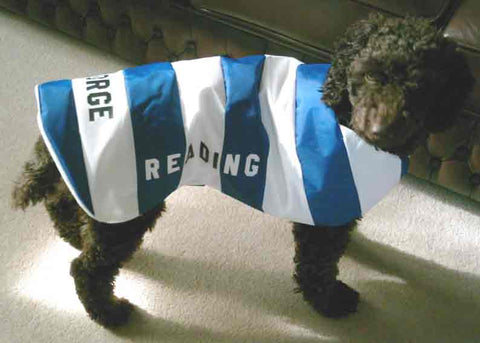 Reading FC dog coat
