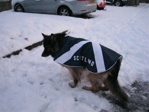 Scotland dog coat