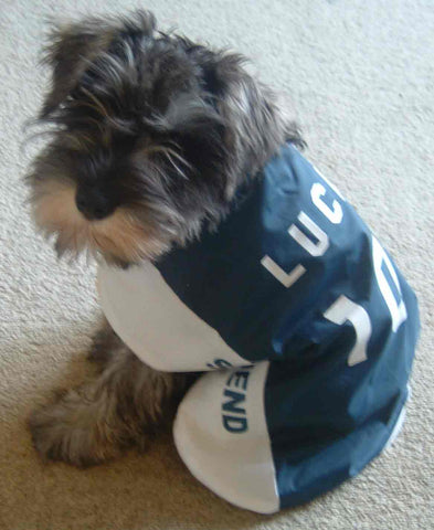 Southend United dog shirt