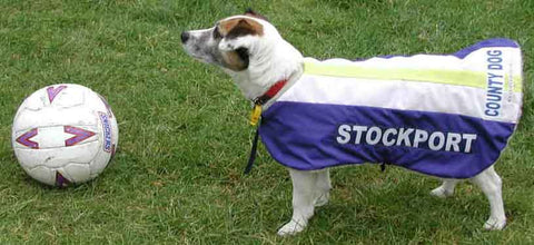 Stockport County dog coat