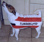 Sunderland AFC dog coat