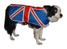 union jack dog coat