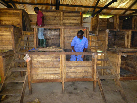 Fermenting Boxes at Kokoa Kamili