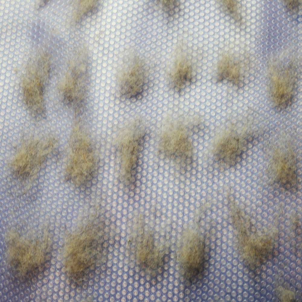 Rows of small wool wisps laid out on a table top.