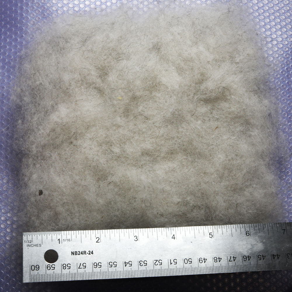 A square of off-white carded wool. A metal ruler is below the square, measuring 8 inches.