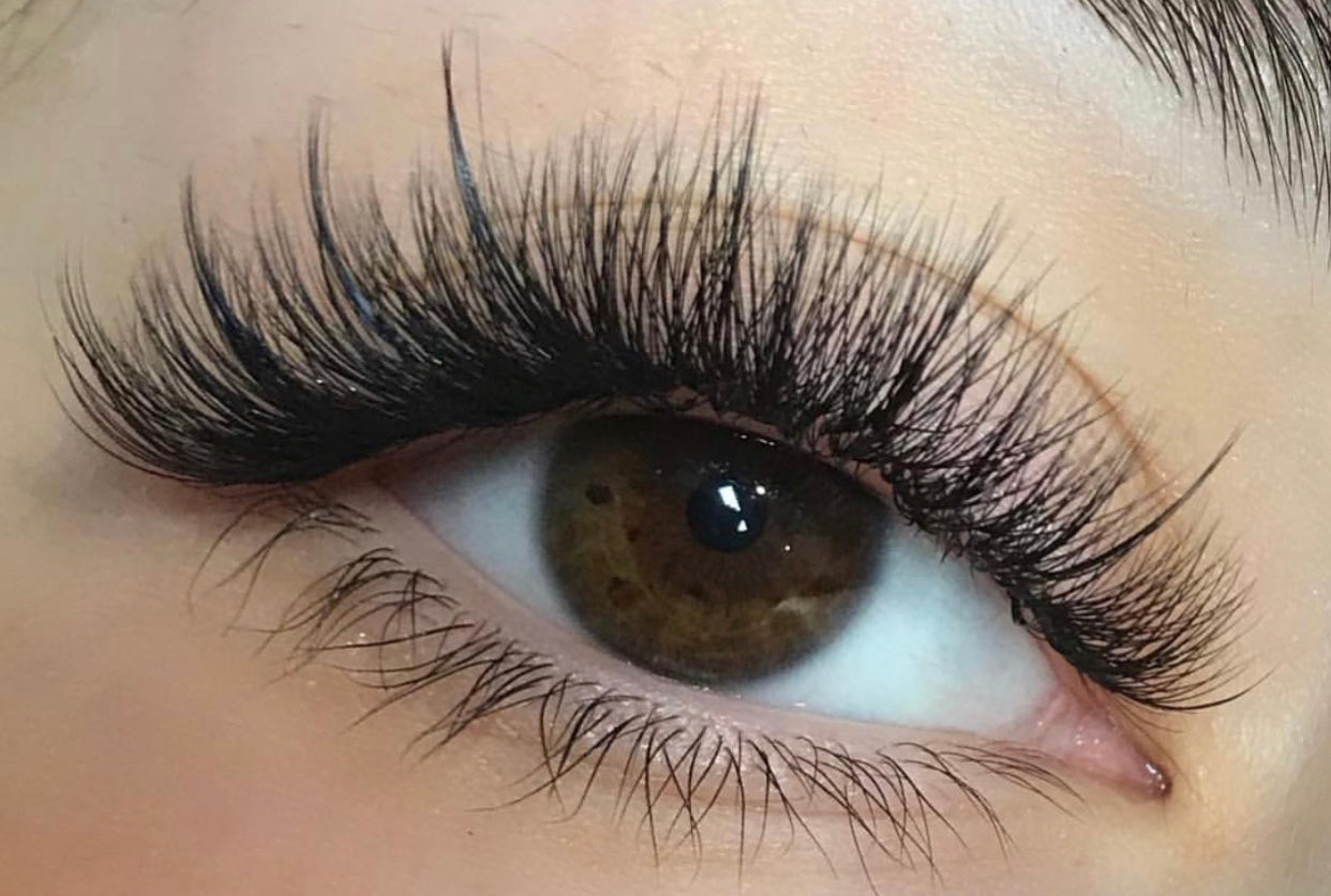 Hybrid Lash Service – Lash Factor Shop