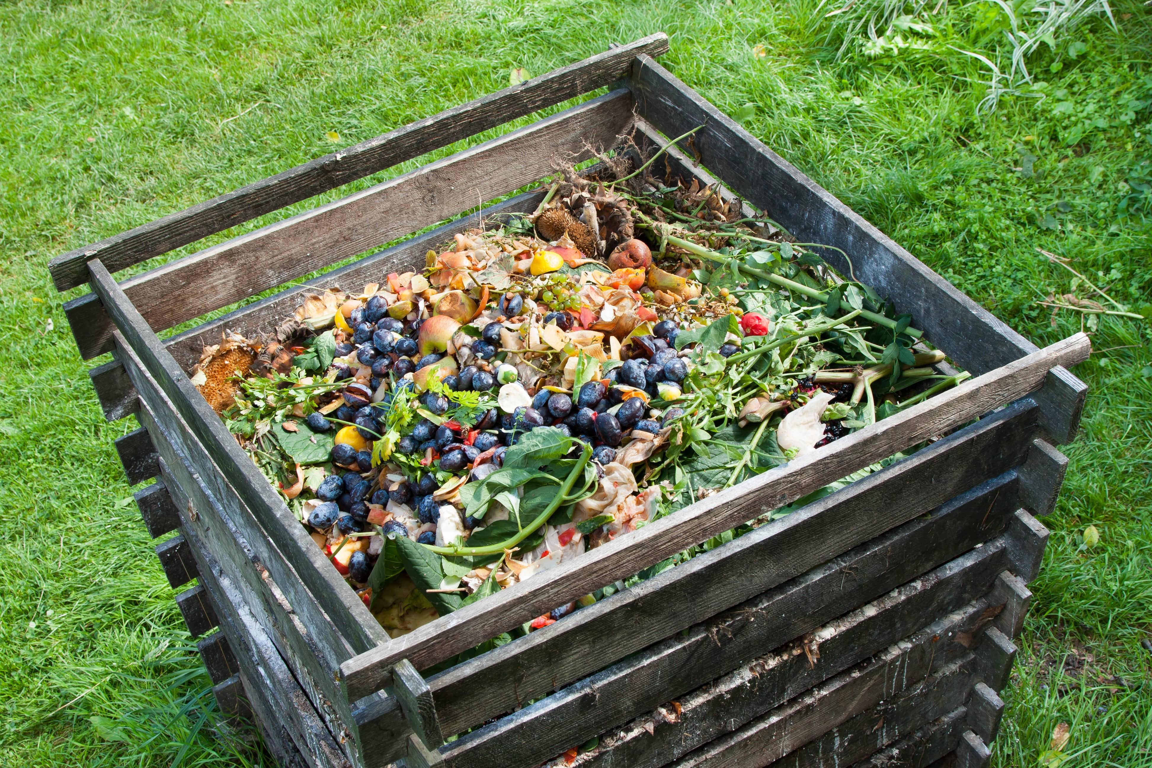 Compost Litter Catspot Litter