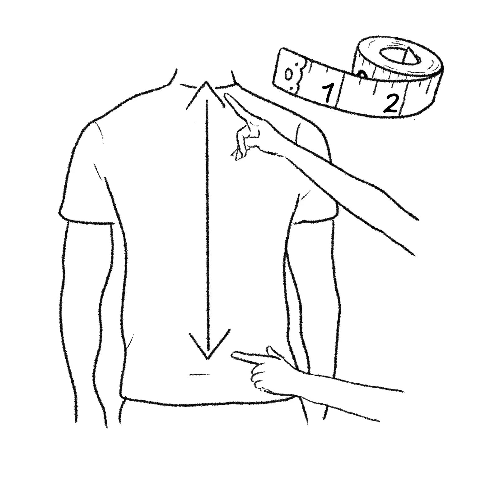 How to measure your waist with a measuring tape 