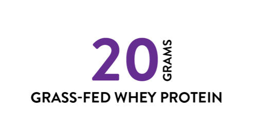 20 grams grass fed whey protein workout supplements