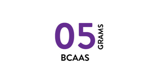 bcaas supplements gyms wholesale