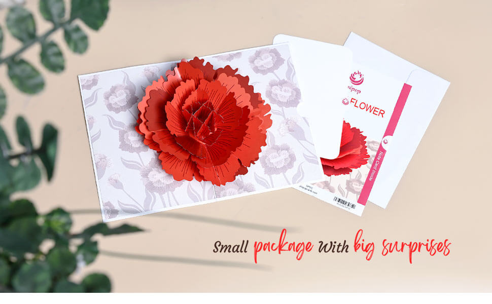 Packing of Carnation Flower pop up card