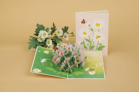 Daisy Pop Up Card