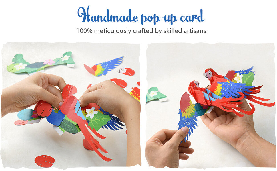 Scarlet Macaw Pop up card - Handmade