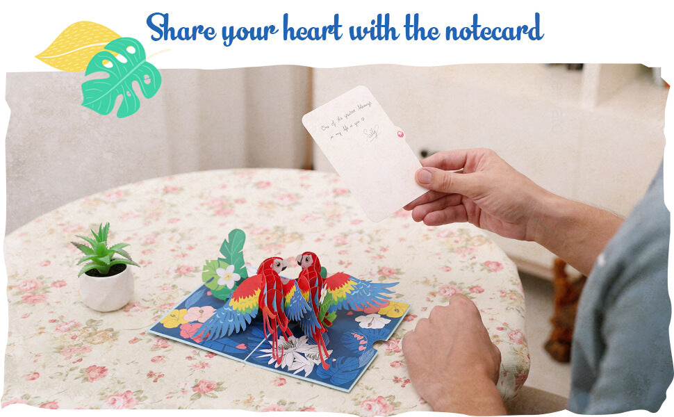Scarlet Macaw Pop up card - Notecard