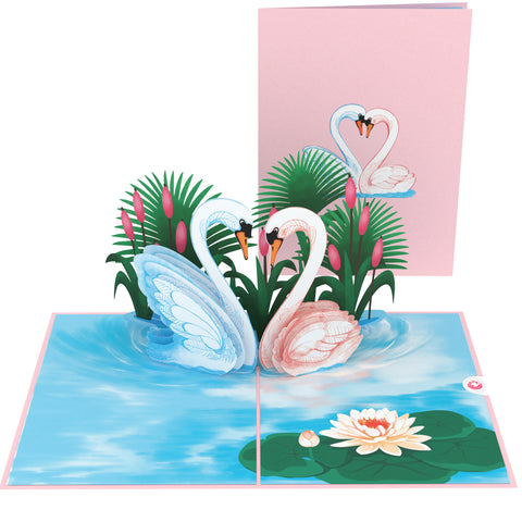 Swan Love Pop Up Card