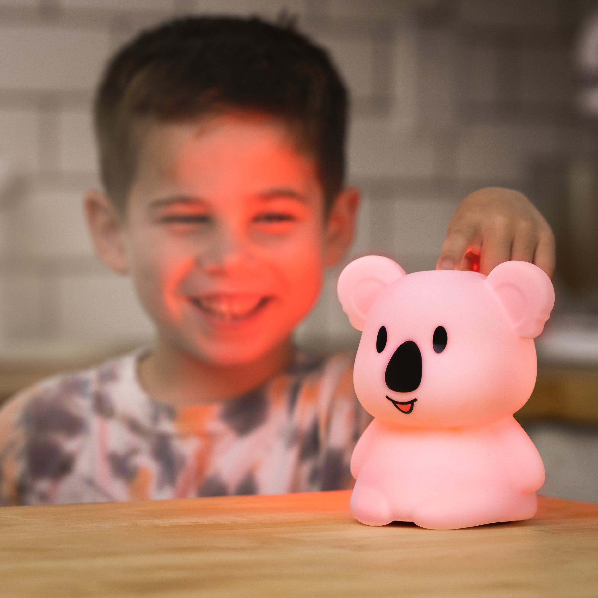 koala bear night light