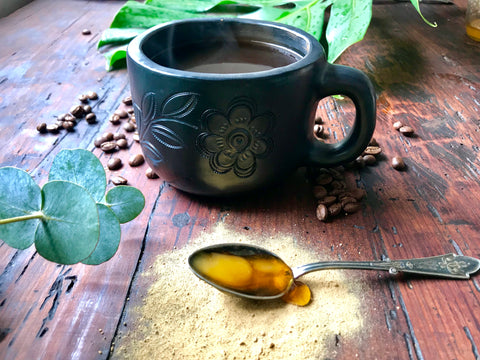 Mexico 1492 - Coffee with Mayan Melipona Honey and Ginger