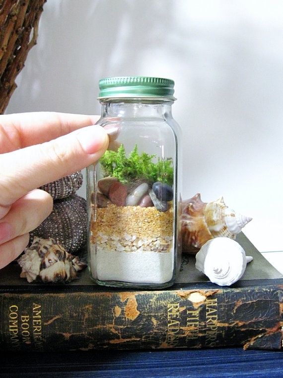 https://cdn.shopify.com/s/files/1/0018/3464/7617/files/c651db6cc5418217ce0af0004d5d717b-mini-terrarium-terrarium-ideas_1.jpg?v=1530581671