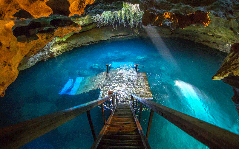 Great place but you need to jump in - Review of Devil's Den, Williston, FL  - Tripadvisor