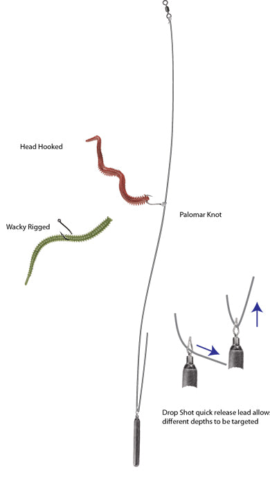 Drop Shot Rig