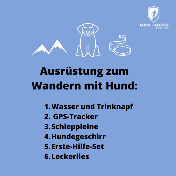 Die richtige Ausrüstung für das Wandern mit Hund