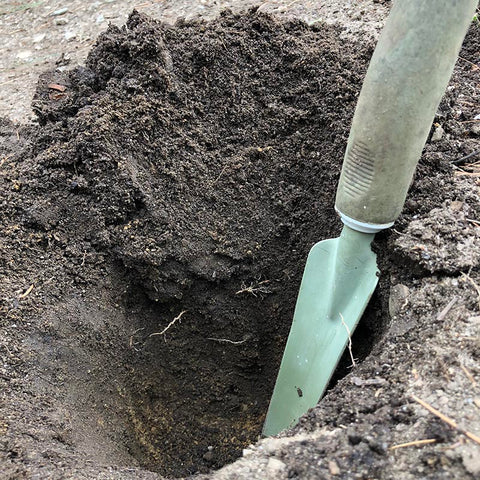 A hole about 8-inches deep in a garden with a hand shovel in it for scale