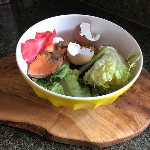 Food Scraps in a bowl