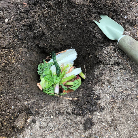 Food scraps in a hole for Dig and Drop composting method