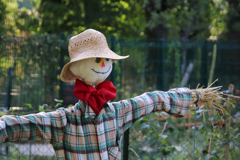 Garden scarecrow