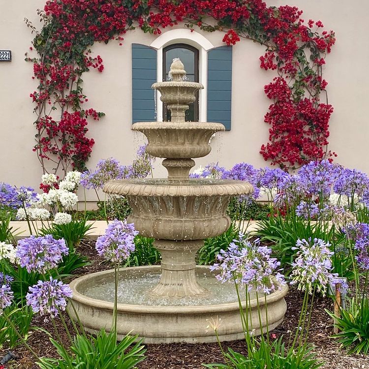 Fountain with plants around it