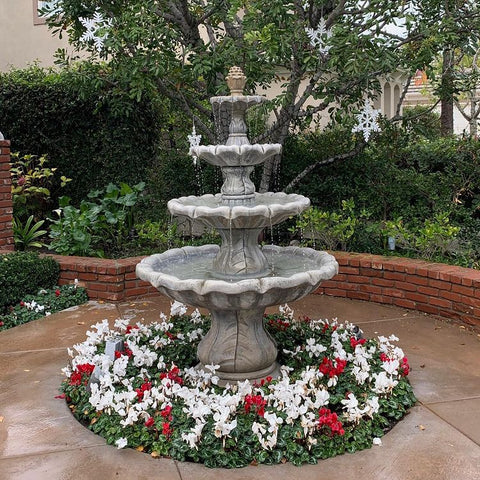 colorful flowers around the fountain