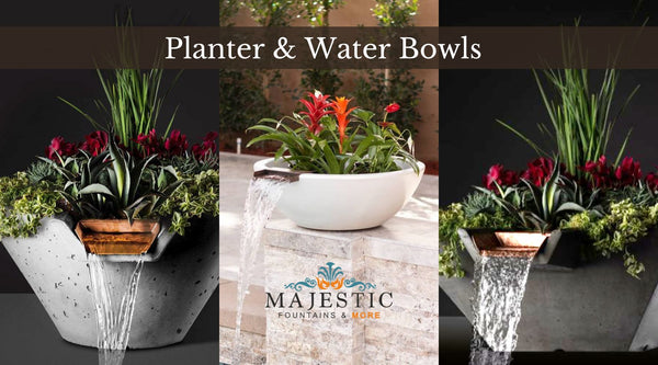 Planter and Water bowls