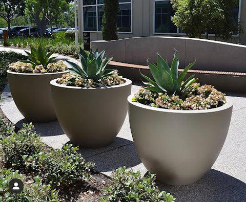 Commercial planters in patio