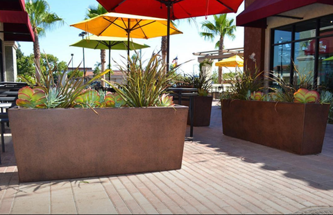 planters with plants in patio