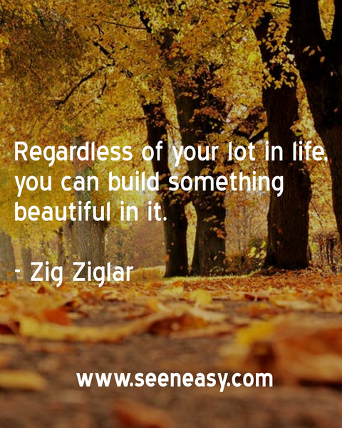 Regardless of your lot in life, you can build something beautiful in it. Zig Ziglar